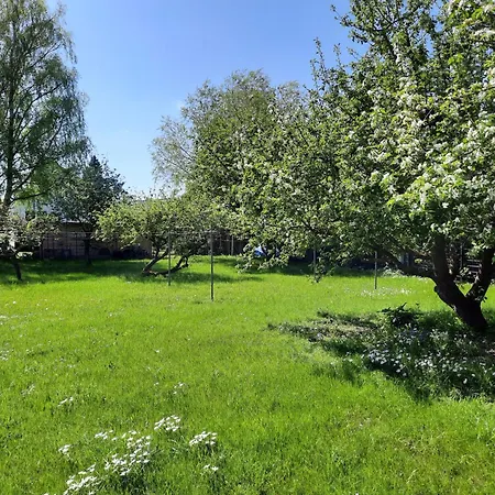 Apartmán Haus Reinhild - 1 Im Hochparterre